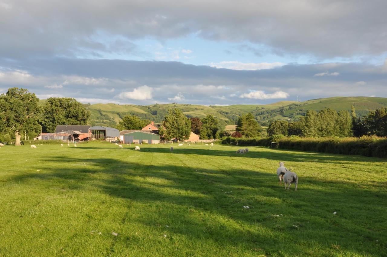 Mid Wales Arts B&B Caersws Exterior foto
